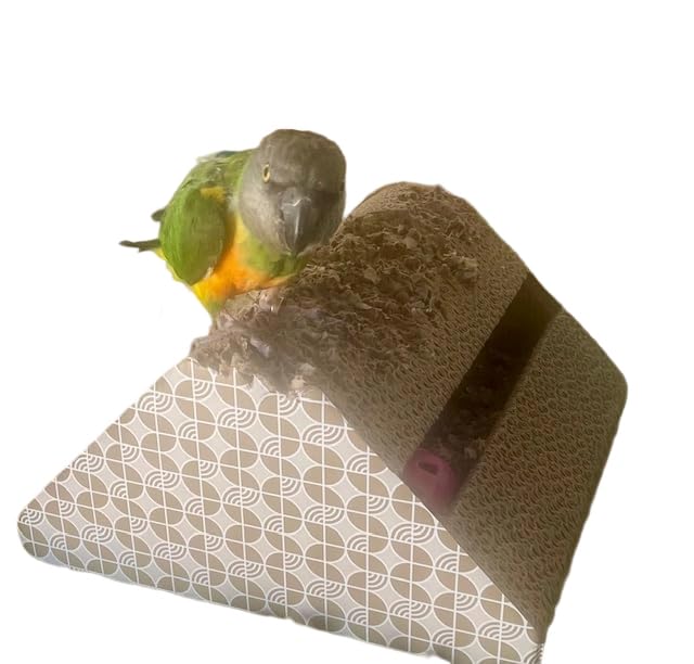 OSWINMART Parrot Cardboard Toy with Jingle Ball - size: LARGE size