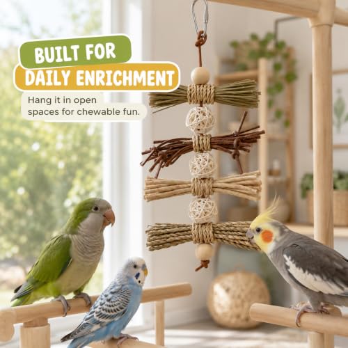 2Pcs Natural Bird Toys for Parrots, Parakeet & Cockatiel - Foraging Cage Toy with Wood, Cork Bark, Raffia - Shredding Chewing Gear Conures, Budgies, Lovebirds - Safe Stainless Link