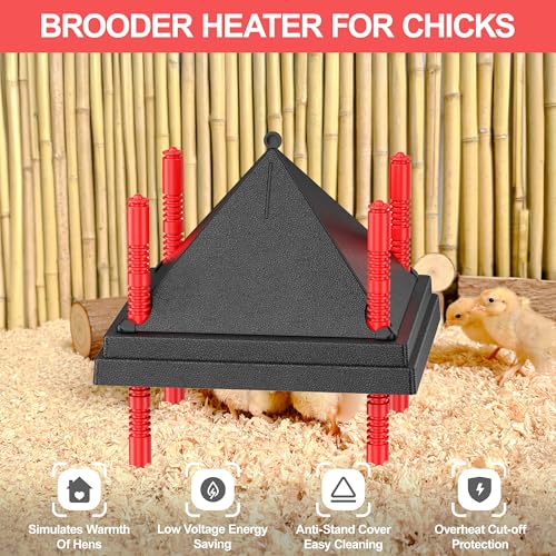 Chick Brooder Heating Plate with Anti Stand Cone, Fixed Temp, 10"x10" Black | Adjustable Height Brooder Heater for Chicks, Downward Heat Distribution for Outdoor Barns & Coops - size: 10" x 10"