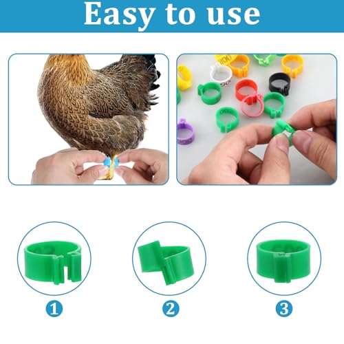 120 Pcs Chicken Leg Bands, 10 Color Numbered Chicken Leg Rings Identification Band Chick Tags for Legs Poultry Foot Rings Legs Bands for Poultry Identification, Number Arrangement 1-12 (16mm)