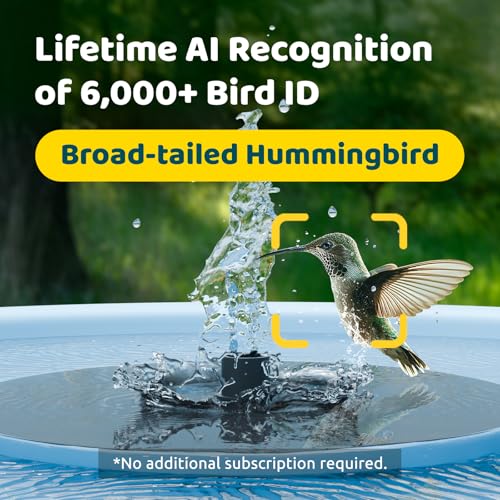 Birdfy Smart Bird Bath with Camera, Solar Powered, Dual-Lens 2K AI Camera | Watch Birds Bathe & Drink in Stunning 2K with Dual-Lens Auto Tracking, Solar Power, Fountain and Lifetime AI Bird Recognition - style: AI Lifetime