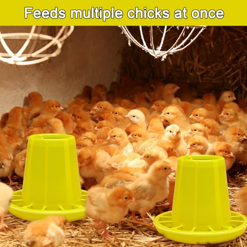 Funnymoom 12 Pack Small Chicken Feeder Bulk Chick Feeder Chick Feeding for Poultry Ducks Goose Quail Pigeons