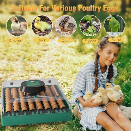 Egg Incubator for Chicken Eggs, Max 72 Egg Incubator with Auto Turner | Large capacity egg hatcher with humidity control, 360° clear view for chicken, duck, quail eggs, farms & classrooms