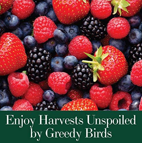 Dalen Bird-X Protective Mesh Netting for Fruit Trees & Berries - 28 x 28 ft | Black Garden Netting, 5/8-inch Mesh - Helps Deter Birds & Garden Pests, Made of Weather-Resistant Plastic - size: 28' x 28'
