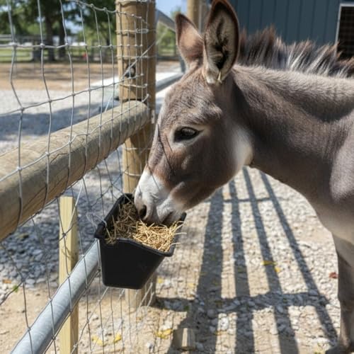 4-Pack 5 Qt Hanging Goat Feeders and Mineral Troughs for Fences | Thick plastic with mounting clips, zip ties and screws; for grain, grit and minerals; suitable for sheep, ducks and chickens - color: 4 Pack