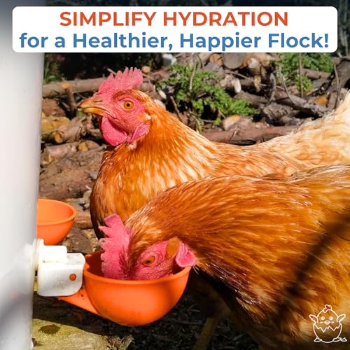 Lil'Clucker Large Automatic Chicken Waterer Cups | Chicken Water Feeder Suitable for Chicks, Duck, Goose, Turkey and Bunny | Poultry Water Feeder Kit (Orange, 8-Pack) - size: 8-Pack