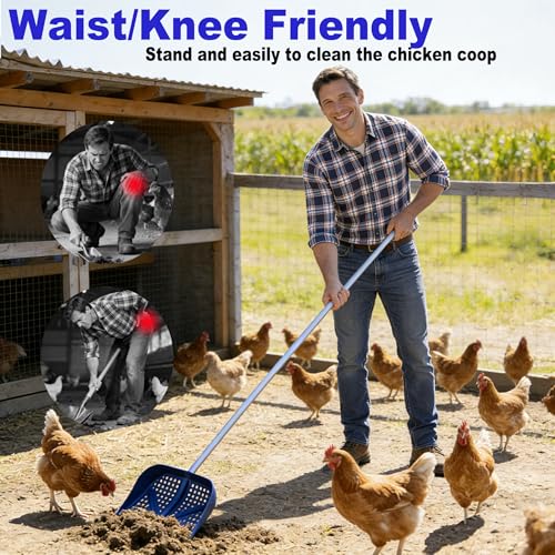 11.8inch Heavy Large 2-in-1 Chicken Poop Scooper & Rake,Adjustable Aluminum Handle（20–61"） Chicken Coop Scoop– Litter Scoop Sand & Sifting Shovel for Chicken Coops Shoveling Snow(Black) - color: Black
