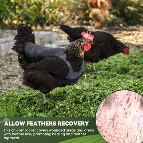 6Pcs Chicken Saddles for Hens, Adjustable Hen Aprons for Back Feather Protection, Waterproof Chicken Vest Jacket for Poultry, Fits Small to Medium Hens (3 Colors)