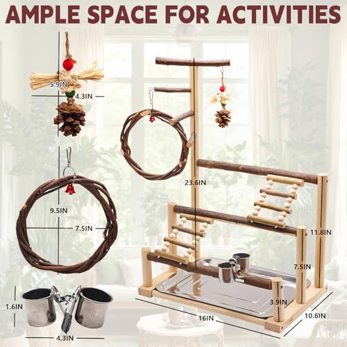 Bird Playground, Natural Wooden Parrot Stand Suitable for Small and Medium Birds, with Feeding Cups, Swing, Chew Toys,Bird Perch Ideal for Parakeets, Budgerigars,Canaries,Conures