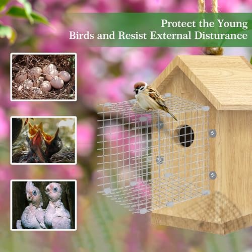 Bluebird House Predator Guards 2 Pack Metal Wire Entrance Hole Protector Bird House Hole Protector Bird House Wire Entrance Guard for Blue Bird Nesting & Babies Safe (Square)