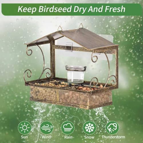 Window Bird Feeder for Outdoors | Glass Water Cup, Hook Chain Included, Attracts Wild Birds, Gift for Bird Lovers