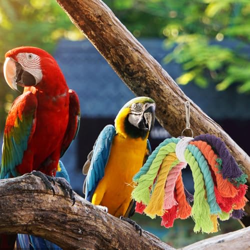 Bird Rope Chew Toy with Hanging Buckle Cotton Bird String Toy for Parrots Cockatiels and Parakeets Cage Hanging Chewing Plaything 7.87 X 5.90 X 3.93 in