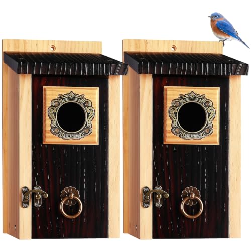 SISTERBIRD 2 Pack Premium Blue Bird Houses for Outdoors, Assembly Required - color: Deeply Burnt Vintage Hue -- 2PK