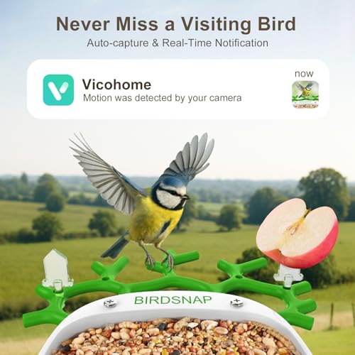 Smart Bird Feeder with Camera Solar Powered 2K HD Live Video with 32GB Card | AI Identifies 10,000+ Bird Species, Instant Alerts, IP65 Waterproof, Easy Setup, Bird Watching Gift for Bird Lovers - color: Light Green