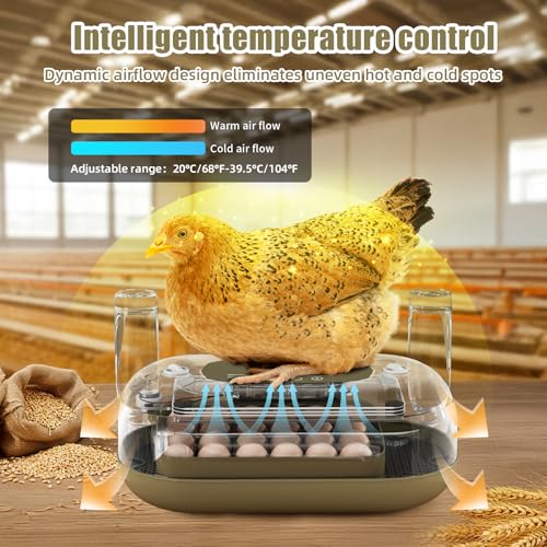 XOTTI Incubator for Hatching Eggs, 24 Egg Incubator with Precise Temperature Control, Auto Egg Turner, 360° Clear View, LED Candler, Alarm for Chicken Duck Quail Goose for Home School Farm Lab - size: 24 Eggs