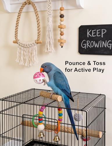 12-Pack Bird Toy Set, Bell Balls Rings Rattles, Non-Toxic PP | No Sharp Edges, Safe for Bird Beaks and Claws, Fits All Standard Cages