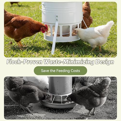 KOL Metal Chicken Feeder - 20lbs No Waste Chicken Feeder with 12 Ports, Powder Coated Rust-Proof Design & Smooth Edges for Safe Feeding (Jade White) - color: Jade White