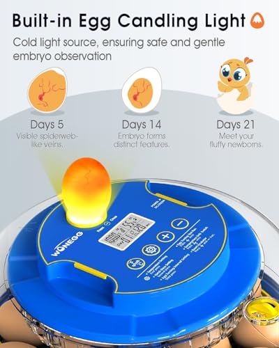 18 Eggs Incubator for Hatching Eggs with Automatic Egg Turning and Humidity Control, Egg Candler, External Water Bottle Refill, Hatch Days Display, 360° Clear View, for Chicken Duck Goose Quail Birds - size: 18 eggs