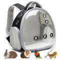 Portable Travel pet Backpack Carrier Hamster Bag Guinea Pig Bird Small Dog cat Turtle Carrier Rabbit Cage Squirrel Bearded Dragon Breathable Hangbag (Black) - color: black