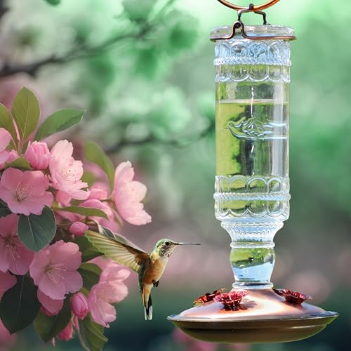 Perky-Pet Antique Glass Bottle Hummingbird Feeder - Outdoor Garden Décor Hummingbird Feeder - 8107-1SR - 10 Fl Oz Nectar Capacity - Durable Humming bird Feeder for Backyards, Porches, Decks, Hooks - style: Clear Bottle