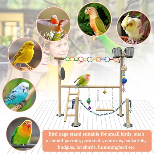 Hamiledyi Small Bird Playground Natural Wood for Top of Cage Bird Perch Stand for Parrots Play Gym Toys for Small Birds Parrot Cockatiel Love Birds Budgie(Style A)