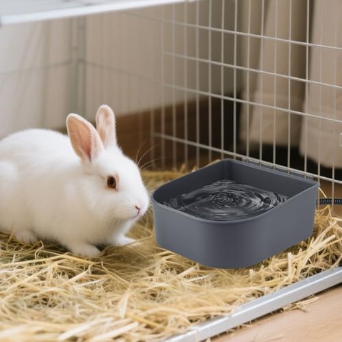 Heated Water Bowl for Cats Rabbits, Hanging Dog Heating Dish for Cage Kennel Anti-Freeze, No Spill Heated Bowl for Rabbits Chickens Birds Small Animals, Indoor/Outdoor Use, 1L - size: 1 L