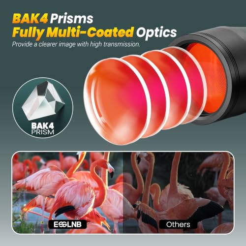 ESSLNB 20x80 Astronomy Binoculars for Adults, High Powered Stargazing Outdoor Waterproof Binoculars for Travel Bird Watching Hunting with BAK4 Prism FMC Lens Carrying Bag (Red) - color: Red