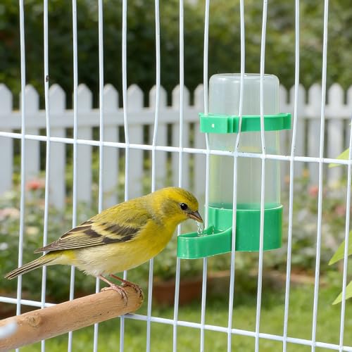 10 PCS Automatic Bird Water Feeder for Cage Drinking Dispenser | Green Plastic Easy Mount Bird Dispenser, 3.3 Inch Durable Water Fountain Cups, Easy Clean and Secure Daily Cage Feeding