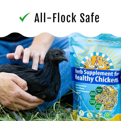Buff Clucks Herbs Supplement for Chicken Food Natural Poultry Feed, 20 lb | Healthy Chick Snacks for Daily Wellness Feather Quality Egg Production Plant Based Chicken Herbs for Feed Treats for Chickens - size: 20 Pound (Pack of 1)