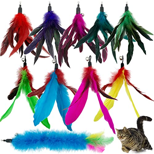 CATENESS Cat Feather Toys Refills, 10 Pieces Cat Wand Replacement Feathers Toy for Indoor Cats