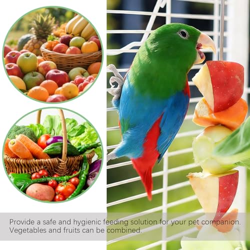 2pcs Bird Cage Food Holder with Hook Parrot Fruit Skewers Stainless Steel Birds Treats Skewer Foraging Toys for Macaw Parakeet Parrot Budgie