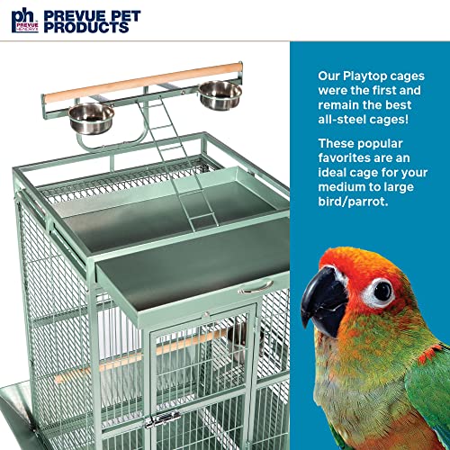 Prevue Hendryx Pet Products Wrought Iron Select Bird Cage 3152SAGE Sage Green, 24-Inch by 20-Inch by 60-Inch | Large Steel Cage with Rolling Stand, and Playtop, Durable Design, Ideal for Conures and Medium Birds - color: Sage Green, size: 24.0"L x 20.0"W