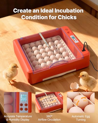 VEVOR 36 Egg Incubator, Automatic Egg Turner with LED Candler & Water Tray, Temperature & Humidity Control, 360° View Clear Window, Poultry Eggs Incubators for Hatching Chicks Ducks Goose Quails - size: 36 Eggs
