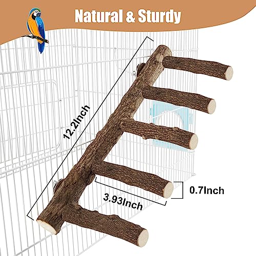 Parrot Wood Stand, Parrots Perch for Cage, Natural Bird Ladder | for Small Medium Parrot, Parakeets, Cockatiels, Conures, Hamster(12.2 inch)