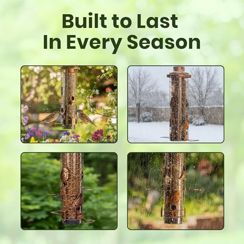 Squirrel-Proof Bird Feeders for Outdoors Feeds Mealworms and Seeds - Large | 3-Pound Capacity, Weather-Resistant Hanging Tube for Birds Includes Seed Scoop, 4 Hook-Shaped Perches, Anti-Squirrel Weights