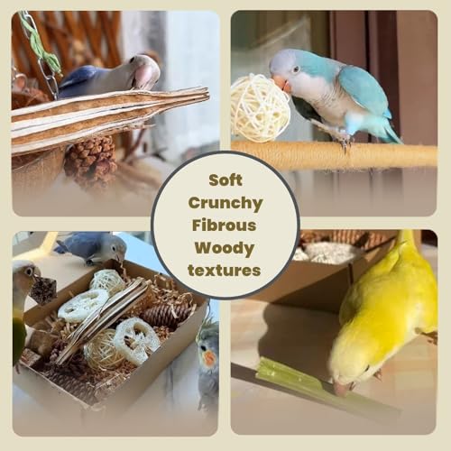 40PCS Natural Foraging & Chew Parrot Toys, Shredding Box for Birds | Natural Bird Toy Set for Parakeets, Cockatiels, Conures & Lovebirds, Helps Reduce Stress & Cage Boredom - size: Large