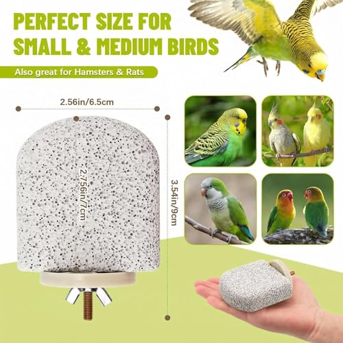 4 Pcs Lava Ledge Bird Perch Platform Set for Cages | Fits Small/Medium Parrots (Budgies, Conures) | Volcanic Calcium Stone for Beak Grinding & Claw Trimming | Tool-Free Mount