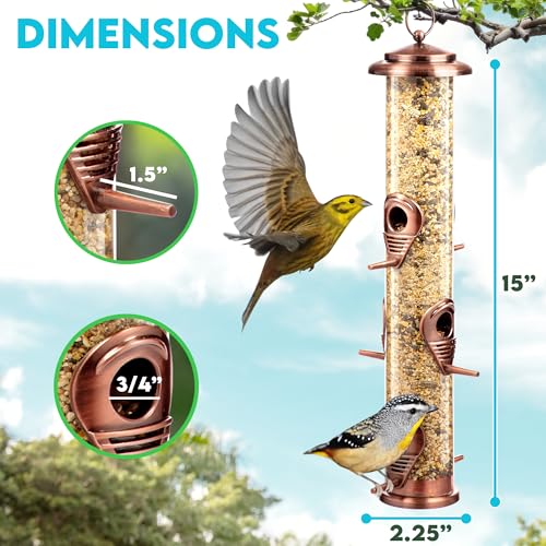 Gray Bunny Squirrel Proof Bird Feeders for Outdoors 6 Port Metal Tube | Cooper bird feeder squirrel proof, locking lid & adjustable hanger, chew-proof, weather resistant, easy clean - color: Copper