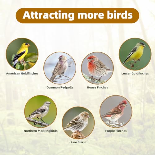 Nyjer/Thistle Seeds Wild Bird Feeder 2 Pack,All-Metal Material | Easy to Clean, Squirrel-Proof,Save Bird Seed,Easy-Refill Top, Rust Resistant, Long Lasting,360 Degree Perch - size: 2Pack