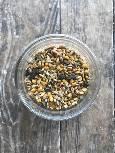 Non-GMO Soy and Corn Free Whole Grain Layer Blend 16% - Chicken Feed for Laying Hens and Ducks - Includes Essential Oils, Herbs, Oyster Shells, Vital Minerals, and Omega 3, 10 lb - size: 10 Pound (Pack of 1), style: Whole Grain Layer