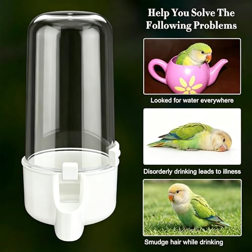 Automatic Bird Water Dispenser Cage Hanging Water Feeder with Anti-Spill Design for Parakeet Canary Small Parrot Lovebirds (2PCS 240ml Water Dispenser) (240ml) - color: 240ml