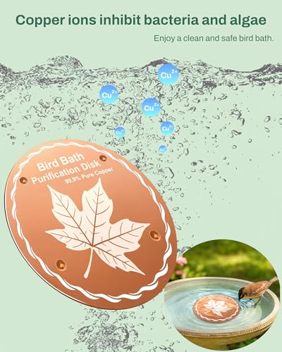 OICEME Bird Bath Purification Disk Pure Copper Hummingbird Water Fountain Solar Power Bee Window Garden Ground Bowl Dispenser Humming Pedestal Fountain Safe Cage Cleaner Outdoor Gifts - color: 1 Pcs Copper Leaf