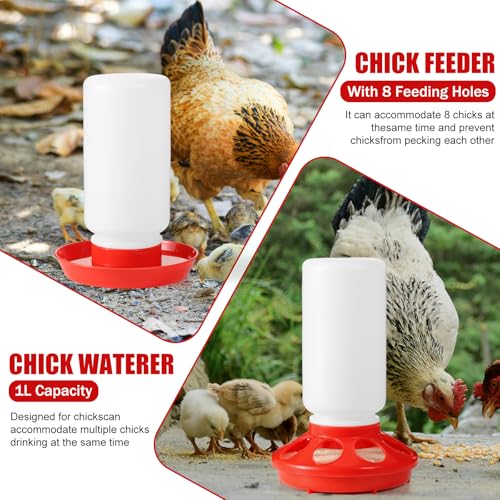 7PCS Chick Feeder and Waterer Kit with Wooden Perch,Baby Poultry Starter Set with Chick Perch for Small Poultry Chicks Ducks Quail Pigeons Birds(Red Chick Feeder Waterer Kit) - color: 7PCS Chick Feeder and Waterer Kit with Chick Perch