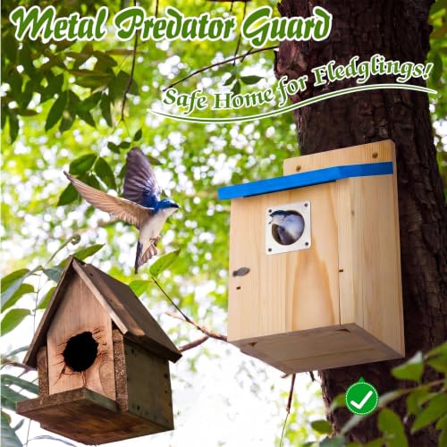Dreyoo Bluebird Houses for Outside, 1-1/2” Entrance Hole Wooden Bird Houses for Outdoor with Metal Predator Guard, Secure Latch, Fledgling Grooves, Air Vents(Blue Roof, Wood Body) - color: Blue Roof, Wood Body