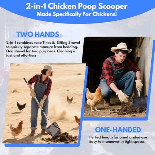 VEEMI Chicken Poop Scooper Rake 2-in-1,304 Stainless Steel Shovel Head, Chicken Litter Scoop with Handle for Chicken Coop for Sand, Pet Waste Cleaning, Litter Sifting Shovel (35 to 65") | Chicken Poop Scooper - color: Black, size: 10inch