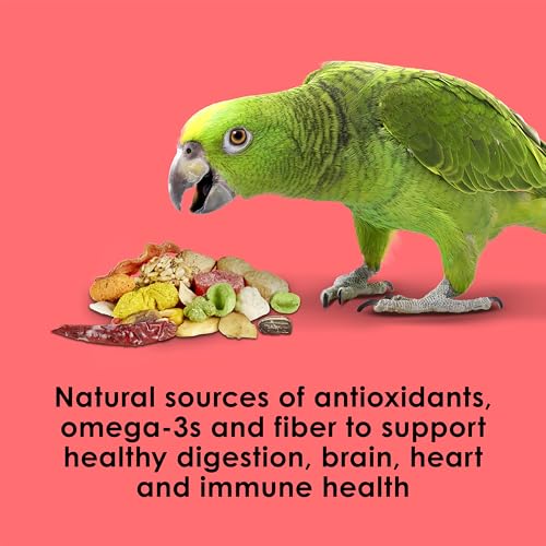 Kaytee Fiesta Parrot Food for Large Birds, 2.5 Pounds | Fun feeding. Bird food with fruits, veggies, grains. Bird seeds, shapes and textures for natural foraging - size: 2.5 Pound (Pack of 1)