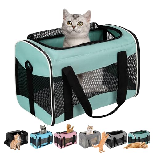 Cat Dog Carriers Soft-Sided Pet Carrier Large Cats for Medium Big Cat Small Dog Puppy up to 16lbs TSA Airline Approved Animal Collapsible Cat Carrier Carriers Travel Carrier Cat Bag (17x11x11) - color: green, size: 17.0"L x 11.0"W x 11.0"H