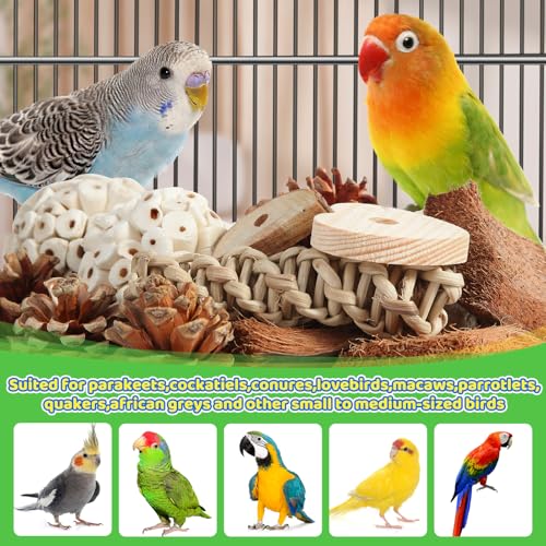 Kyouki Bird Toys Parrot Natural Bird Foraging Box Foot Toys for Parakeets,Cockatiels,Conures,Love Birds,and Other Small to Medium Birds (Large) - size: Large