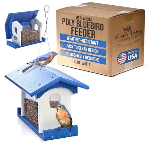 Poly Bluebird Feeder Durable Hanging Weather-Resistant Mealworm and Wild Bird Feeder Outdoor Feeder for Blue Birds Easy Fill-Clean Design Handcrafted in the USA (Blue-White) - color: Blue-White