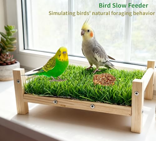 Bird Toy with Foraging Mat, Parrot Forage Toy Bed, Parrot Grass Perch Hammock Bed, Bird Perch Conure Platform Grass Forage Toy for Parakeet, Cockatiel, Lovebird, Budgie